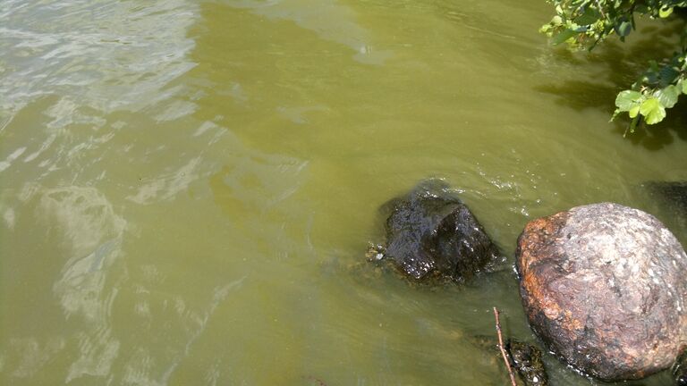 Savijärvi 02072013.jpg