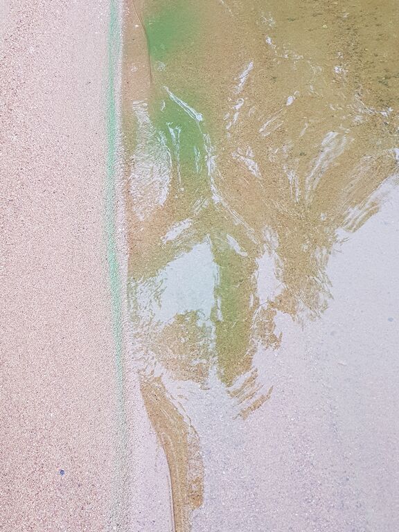 Hiidenvesi (23.031.1.001)-Havaintopaikka 3-ObsIMG-201906141013-77.jpg