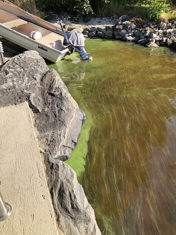 Kallavesi (yhd.)-Vaajasalo, Salonsarvi-ObsIMG-202008082011-37.jpeg