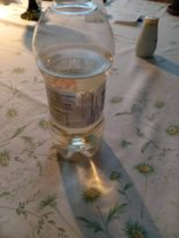 Montanlampi (59.121.1.001)-Rotarien sinileväseuranta-ObsALG-202307191210-64b7a8c4d1e4f.png