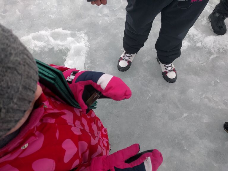 Pyhäjärvi (34.031.1.001)-Kalikka-ObspH-201703102319-73.jpg