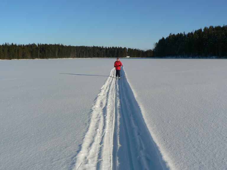 Suksin kelkan jäljessä.JPG