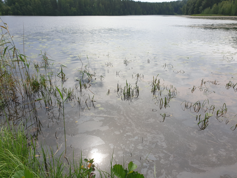 Tiedosto:Urpolanlampi (04.152.1.001)-Uusi hulevesiputki-ObsIMG-202408101208-66b72ecd29319.png