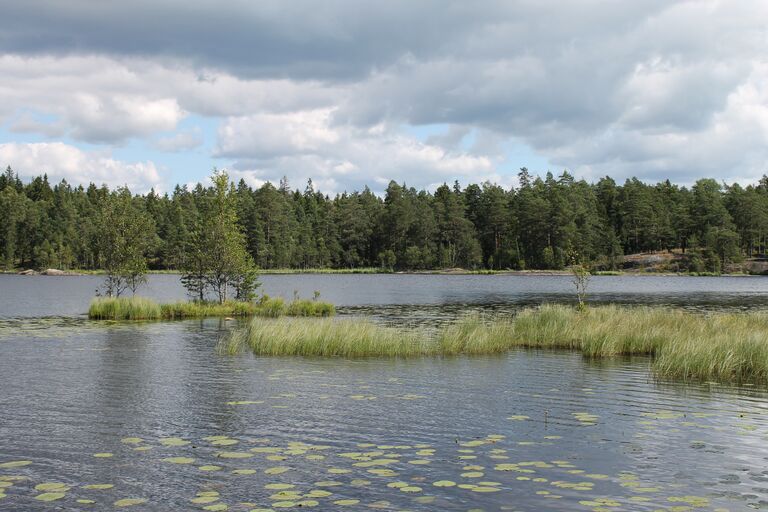 Vaipo etelärannasta koilliseen.jpg