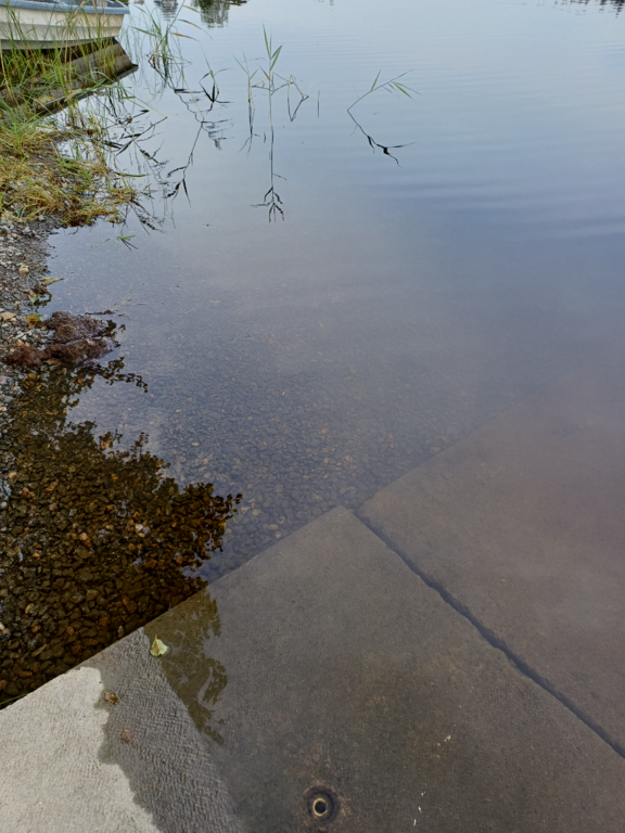 Iso-Lano (35.833.1.001)-Rotarien sinileväseuranta (Lanonpohja)-ObsALG-202507221756-1753197313067.png