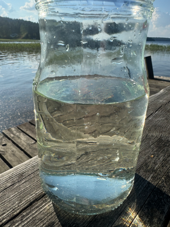 Päijänne (yhd.)-Rotarien sinileväseuranta (Honkaniemi, Kuhapolku)-ObsIMG-202508041810-1754320240361.png