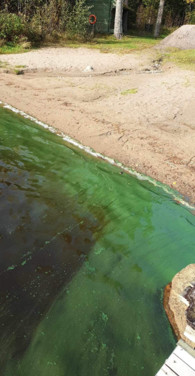 Röukas träsk (43.003.1.001)-Komossaträsket, badstrand-ObsIMG-202310021323-651a9a20ced34.png