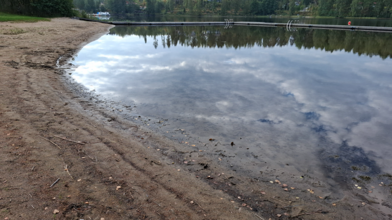 Rautavesi (14.831.1.001)-Valtakunnallinen sinileväseuranta (Angesselkä, Joutsan uimaranta)-ObsIMG-202509101006-1757488029883.png