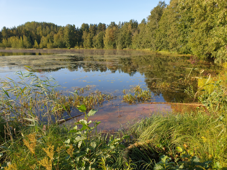 Urpolanlampi (04.152.1.001)-Uusi hulevesiputki-ObsIMG-202309070920-64f977eac6fc4.png