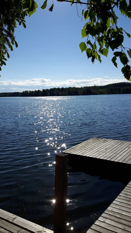 Valkjärvi (35.823.1.003)-Valkjärvi Oitti Puujaa-ObsTEMP-201706151754-45.jpg