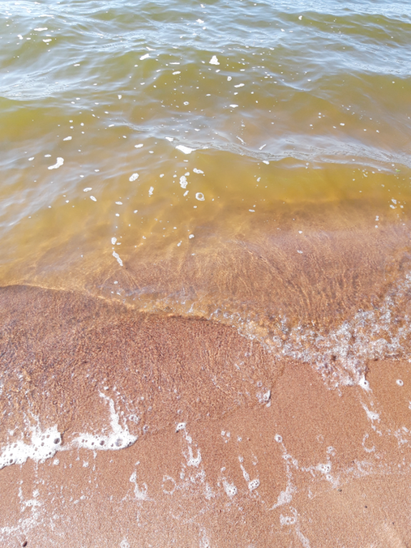 Köyliönjärvi (34.054.1.001)-Valtakunnallinen sinileväseuranta (Yttilän Otta)-ObsALG-202307111744-64ad6ab0a1de2.png