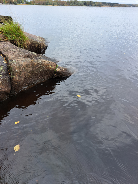 Luodonjärvi (99.110.1.001)-Valtakunnallinen sinileväseuranta-ObsALG-202309261131-651296f8802e3.png