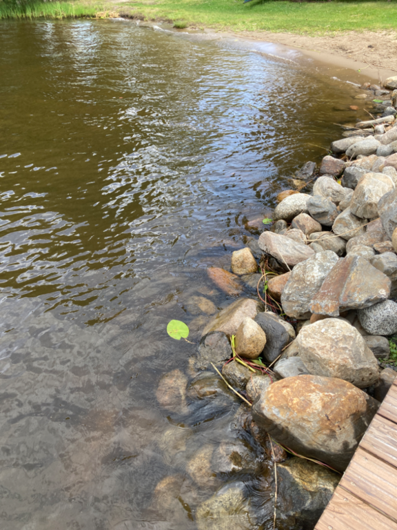 Päijänne (yhd.)-Valtakunnallinen sinileväseuranta (Majutvesi)-ObsALG-202207261216-62dfb173947ec.png