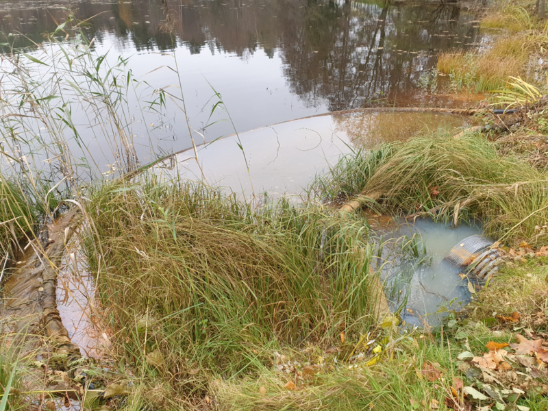 Tiedosto:Urpolanlampi (04.152.1.001)-Uusi hulevesiputki-ObsIMG-202310231109-653694ccb4b42.png