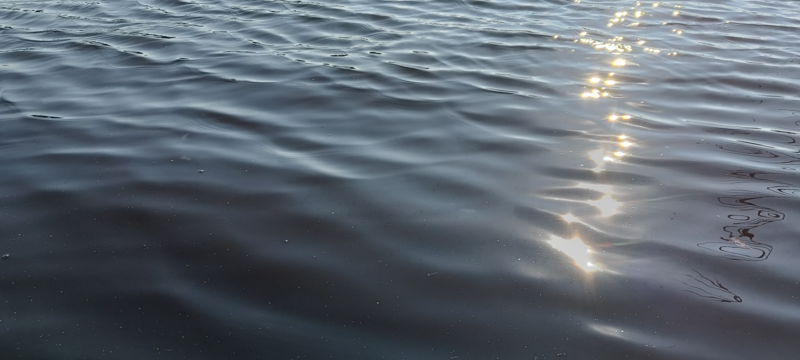 Tiedosto:Kikurinjärvi (35.289.1.008)-Rotarien sinileväseuranta-ObsIMG-202508040948-1754290213935.png