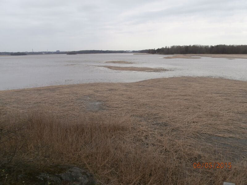 Tiedosto:Kivinokan lintutornista.JPG