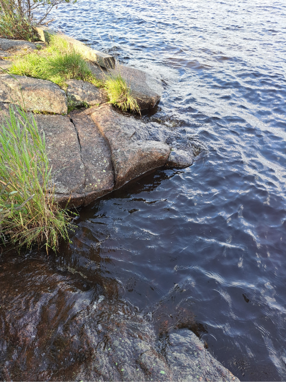 Luodonjärvi (99.110.1.001)-Valtakunnallinen sinileväseuranta-ObsALG-202308091822-64d3aed5ce53f.png