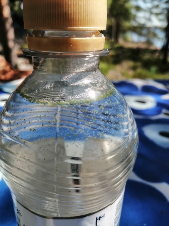 Saimaa (04.112.1.001)-Petraselkä-ObsALG-202206301332-62bd7d24127e9.png