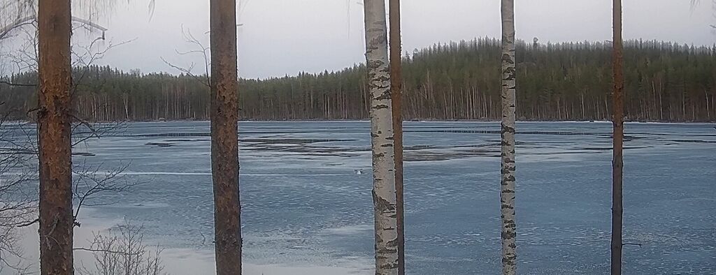 Saimaa (04.112.1.001)-Siikavesi-ObsICE-201904262226-81.jpeg