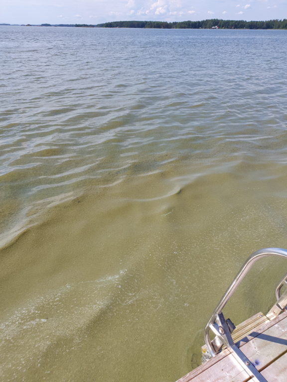 Uolionselkä - Tammionselkä-Mäntlahti-Pyötsaari-ObsIMG-202407161400-6697798e46d74.png