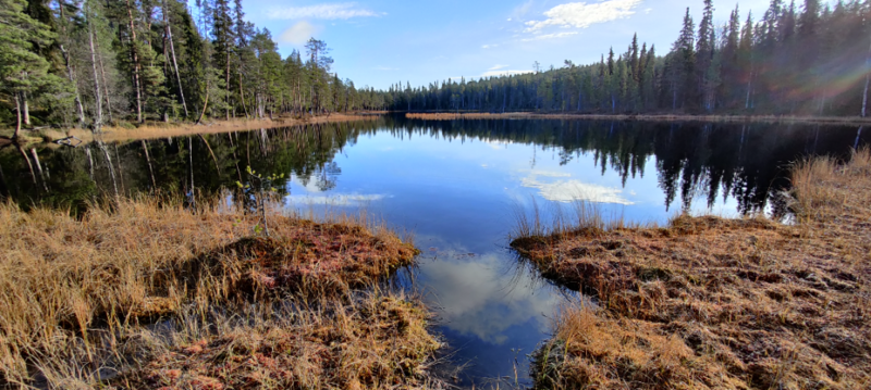 Tiedosto:Alimmainen Hiidenlampi (73.011.1.023)-Havaintopaikka 1-ObsIMG-202210181208-634e6cc9846d0.png