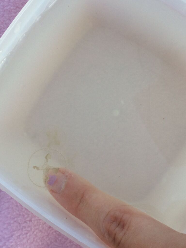 Hiekkakuoppa (21.012.1.001)-Häklin montun uimaranta-ObsJELLY-201808072050-70.jpeg