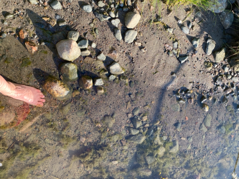 Tiedosto:Inkoo Fagervik-Österviken, Jakob Ramsjö-ObsIMG-202107122029-60ec7cc89bd97.png