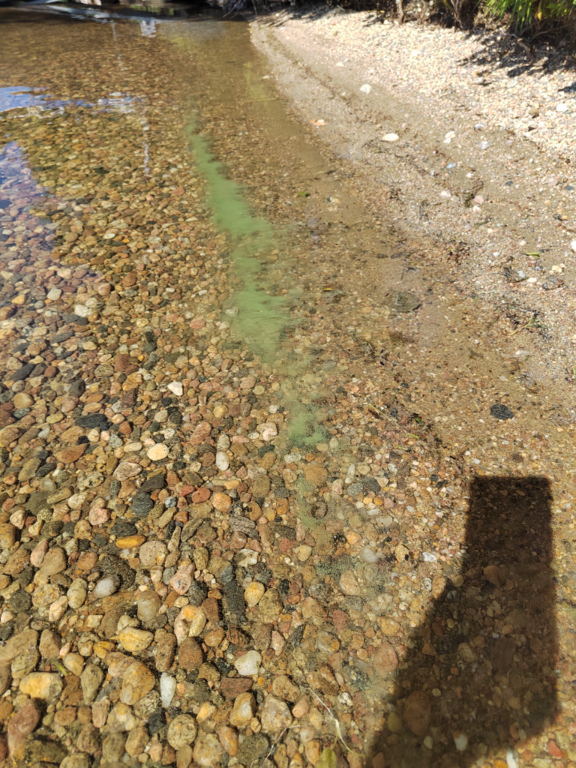 Juojärvi (04.711.1.004)-Pitkäniemi-ObsIMG-202406261548-667c0ebdbacc6.png