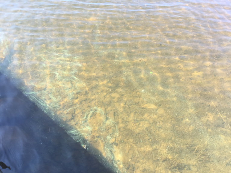 Kälviä-Kokkola-Mölleri pienvenesatama ja Möllerinlahti-ObsALG-202307301546-64c65baa11ddf.png