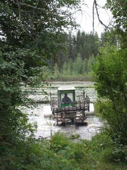 20130805 Valkjärvi 001.jpg