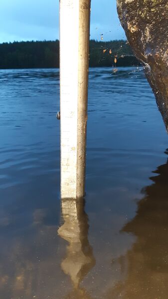 Tiedosto:20200705 223825.jpg