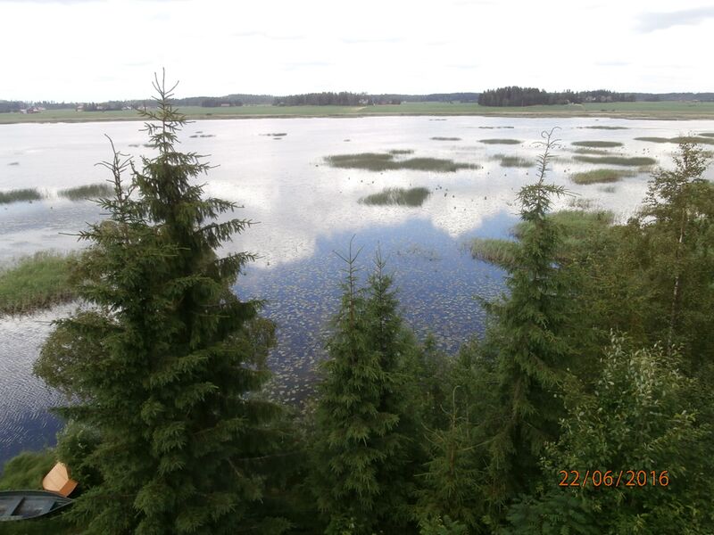 Tiedosto:Kanteleenjarven lintutornista koilliseen.JPG