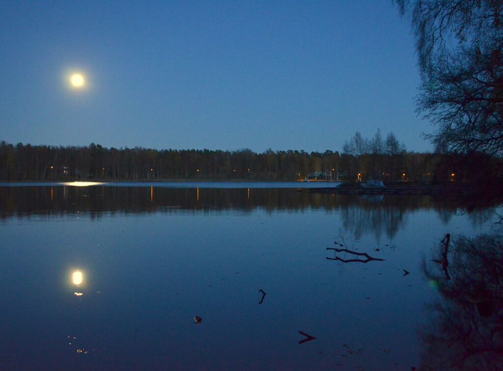 Kauttuan Lohiluomaa.jpg