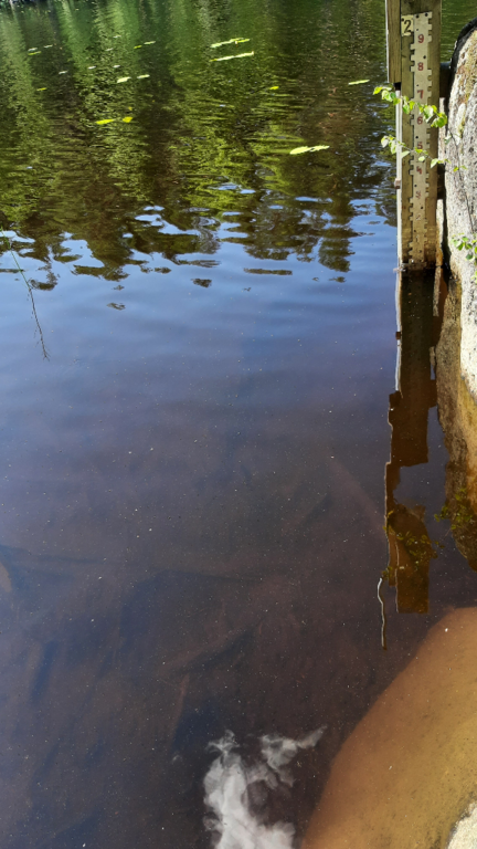 Kolima (14.472.1.001)-Kolima, vedenkorkeusasema-ObsIMG-202307101152-64abc6f4cdcfe.png