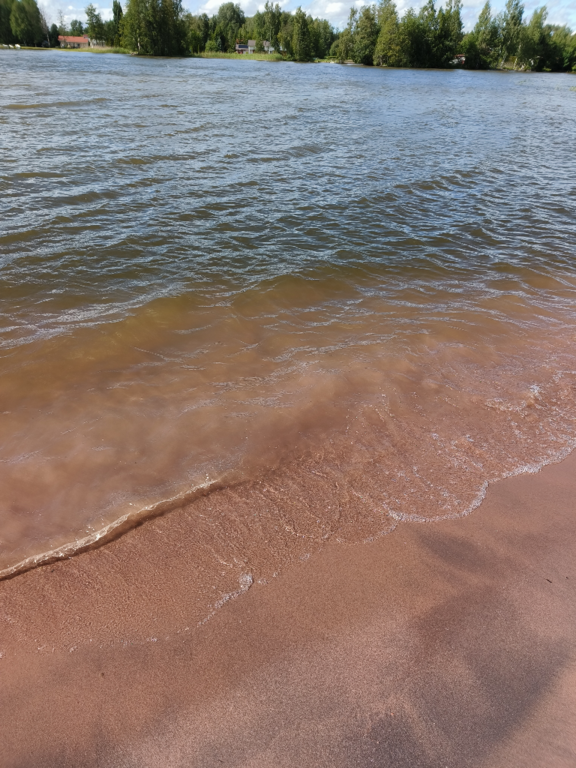 Pyhäjärvi (34.031.1.001)-Valtakunnallinen sinileväseuranta (Katismaan uimaranta)-ObsALG-202406111535-666844e05e7ac.png