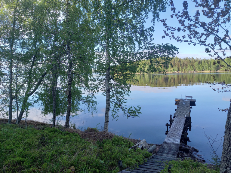 Saimaa (04.112.1.001)-Rotarien sinileväseuranta (Pulkkaselkä, Hietalahti)-ObsIMG-202205302034-629500a4e9b5d.png