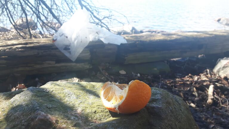 Seurasaari-Mestaritallin ranta-ObsTRASH-201704281354-40.jpg