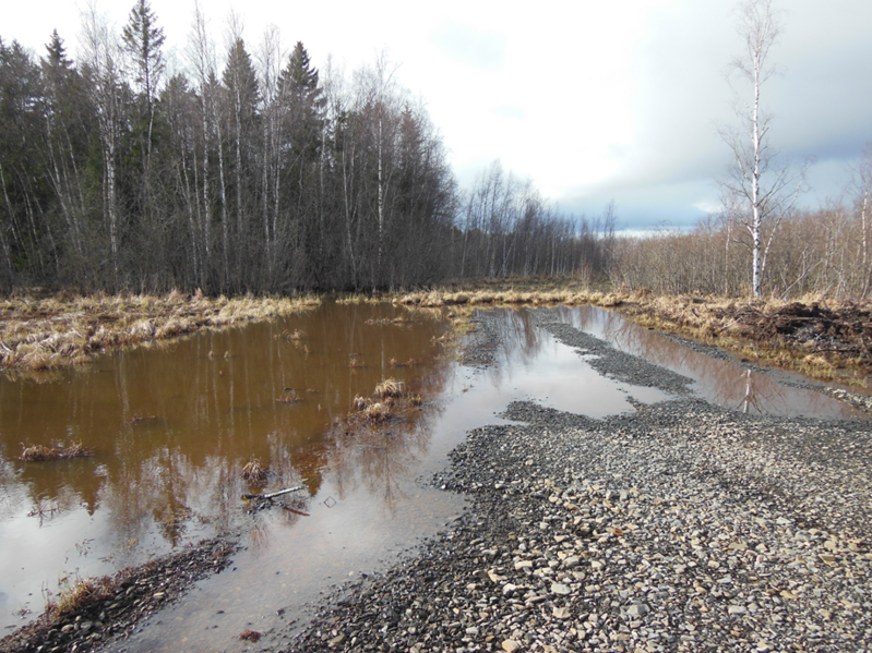 Tiedosto:DSCN5812 Alue 6.png