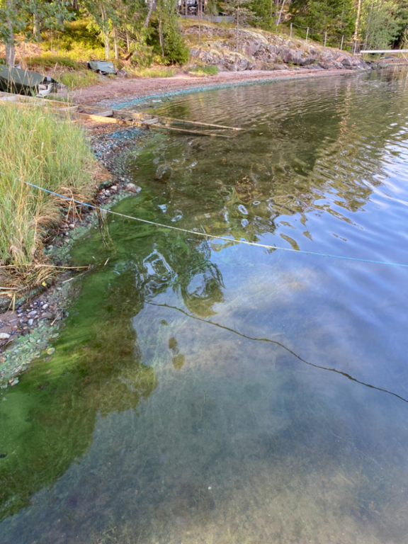 Inkoo Fagervik-Österviken, Jakob Ramsjö-ObsALG-202209041014-631450cee1dd3.png