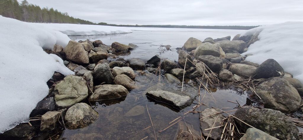 Iso-Pöyliö (74.022.1.011)-Luusua-20260405.jpg