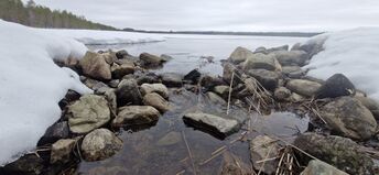 Iso-Pöyliö (74.022.1.011)-Luusua-20260405.jpg