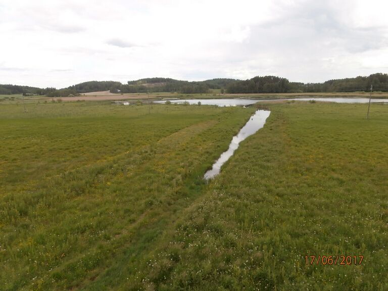 Millolan lintutornista.JPG