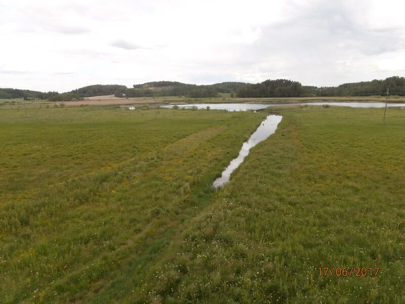 Tiedosto:Millolan lintutornista.JPG