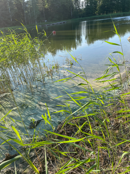 Tiedosto:Porkkala länsi-Häggesböle-ObsALG-202306262000-649aac8fd8f1e.png