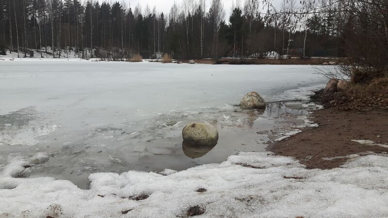 Tiedosto:Tuusulanjoen alaosan alue (21.081)-Tuusulan urheilupuiston lampi-ObsIMG-201703251351-79.jpg