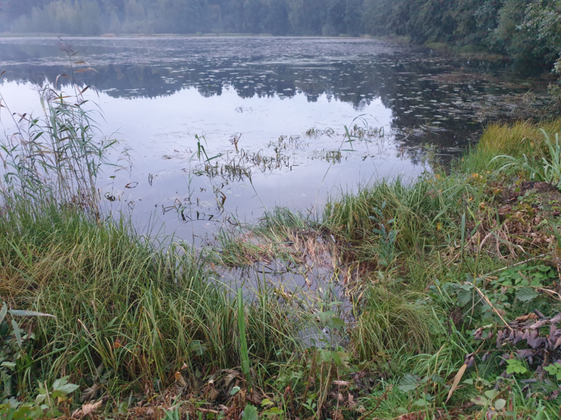 Tiedosto:Urpolanlampi (04.152.1.001)-Uusi hulevesiputki-ObsIMG-202409131940-66e46b73007a1.png