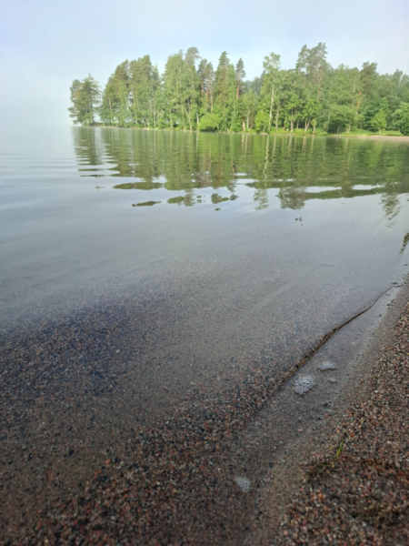 Tiedosto:Vesijärvi (14.241.1.001)-Valtakunnallinen sinileväseuranta (pohjoisosa)-ObsIMG-202606160825-1781594573334.png