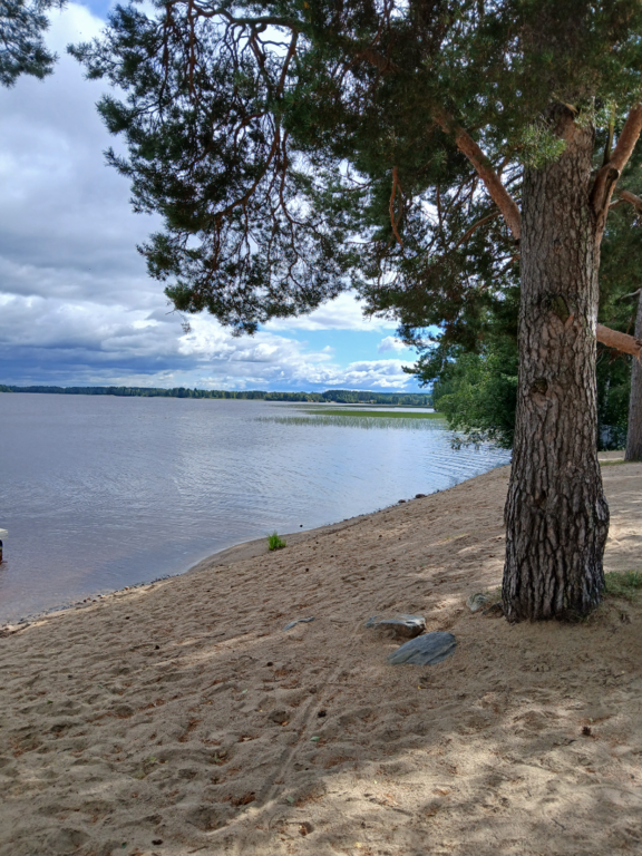 Alajärvi (47.043.1.001)-Valtakunnallinen sinileväseuranta (Pynttärinniemi, Hauta-ahon uimapaikka)-ObsALG-202508191318-1755598734612.png