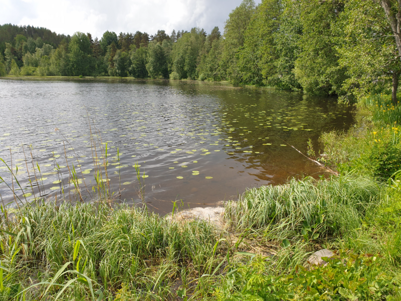 Tiedosto:Urpolanlampi (04.152.1.001)-Uusi hulevesiputki-ObsIMG-202406081217-66648894d8e39.png