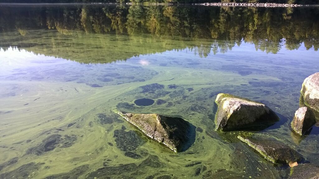 Vaaralahti 11 9 2015.jpg